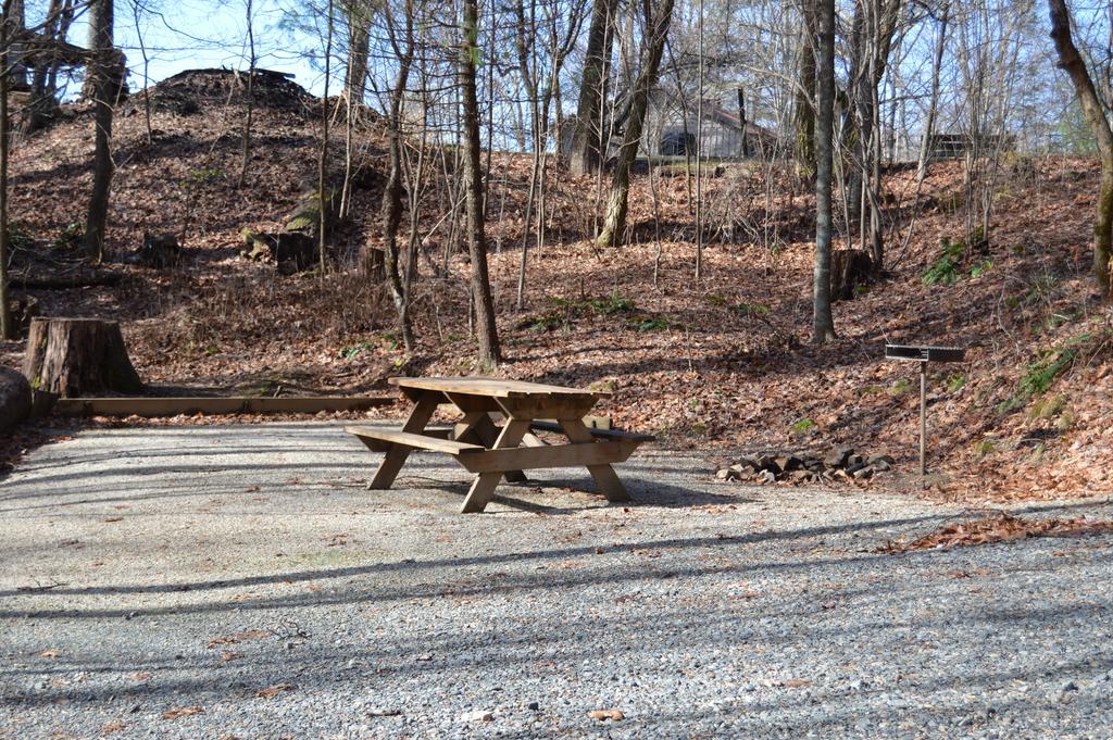 Linville Falls Campground, Rv Park, And Cabins المظهر الخارجي الصورة