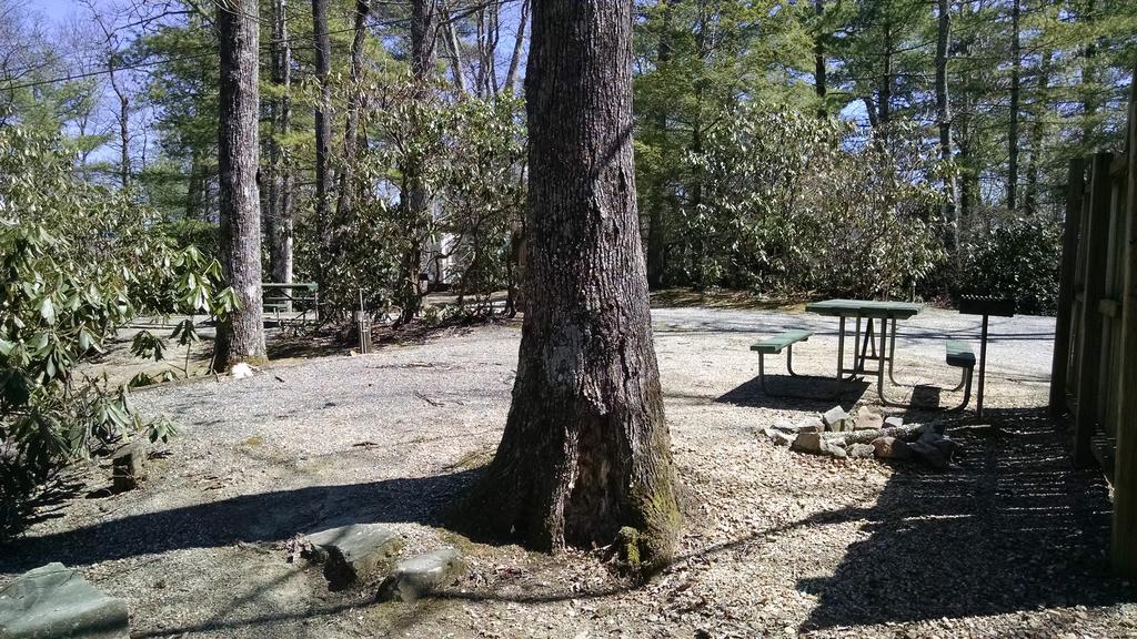 Linville Falls Campground, Rv Park, And Cabins المظهر الخارجي الصورة
