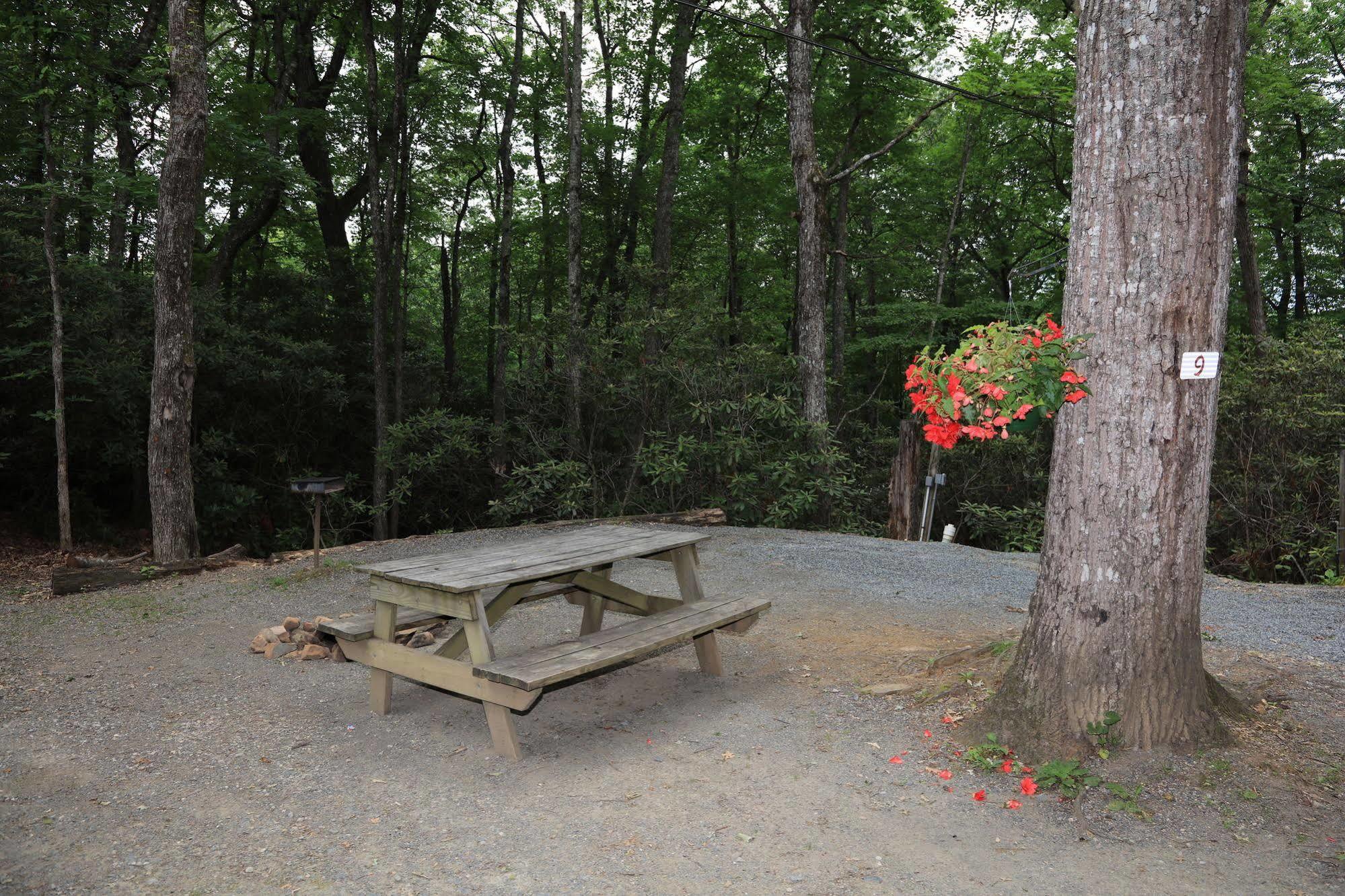 Linville Falls Campground, Rv Park, And Cabins المظهر الخارجي الصورة